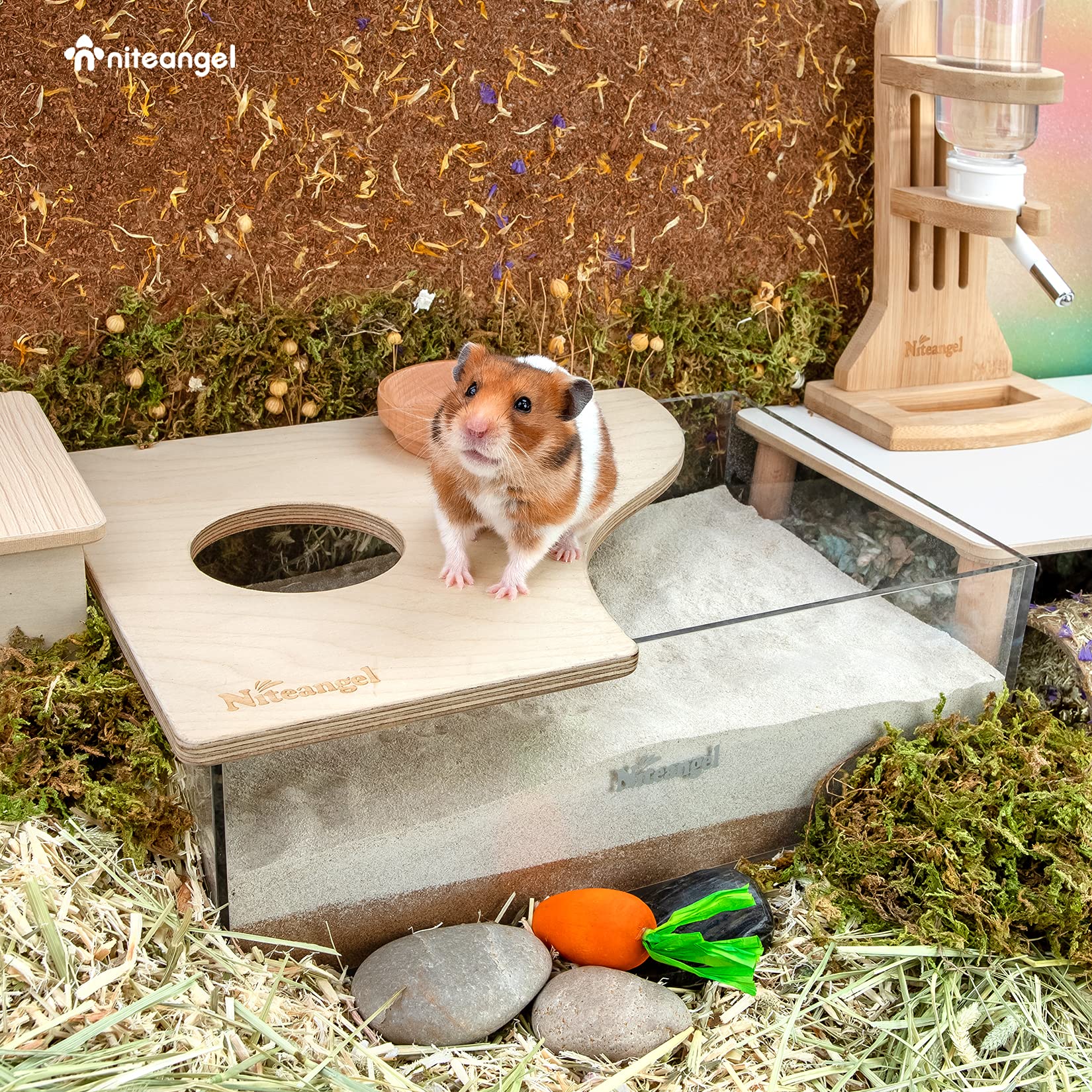 Niteangel easy-clean acrylic bath supports simple maintenance and play.