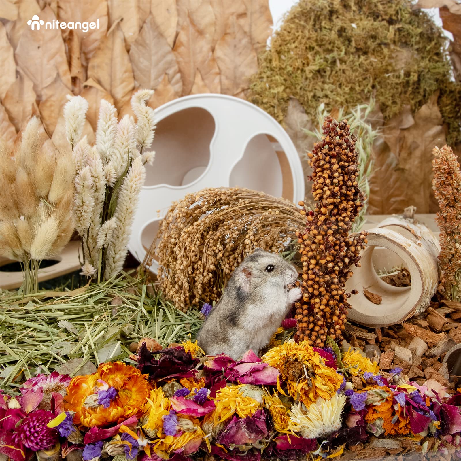 Varied flower and leaf elements create visual interest in small pet habitats.