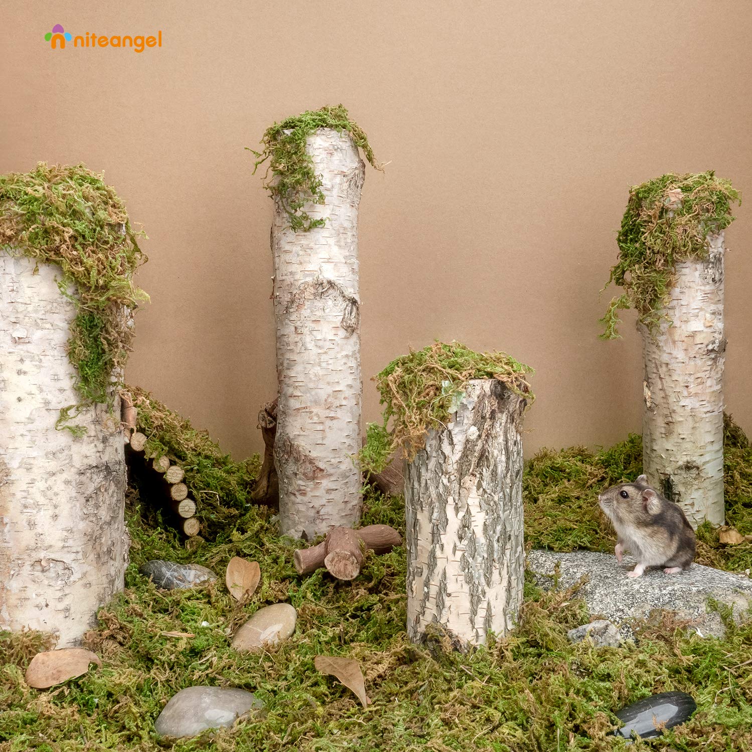 Niteangel forest moss bedding for gerbil nest supports burrowing and dryness.