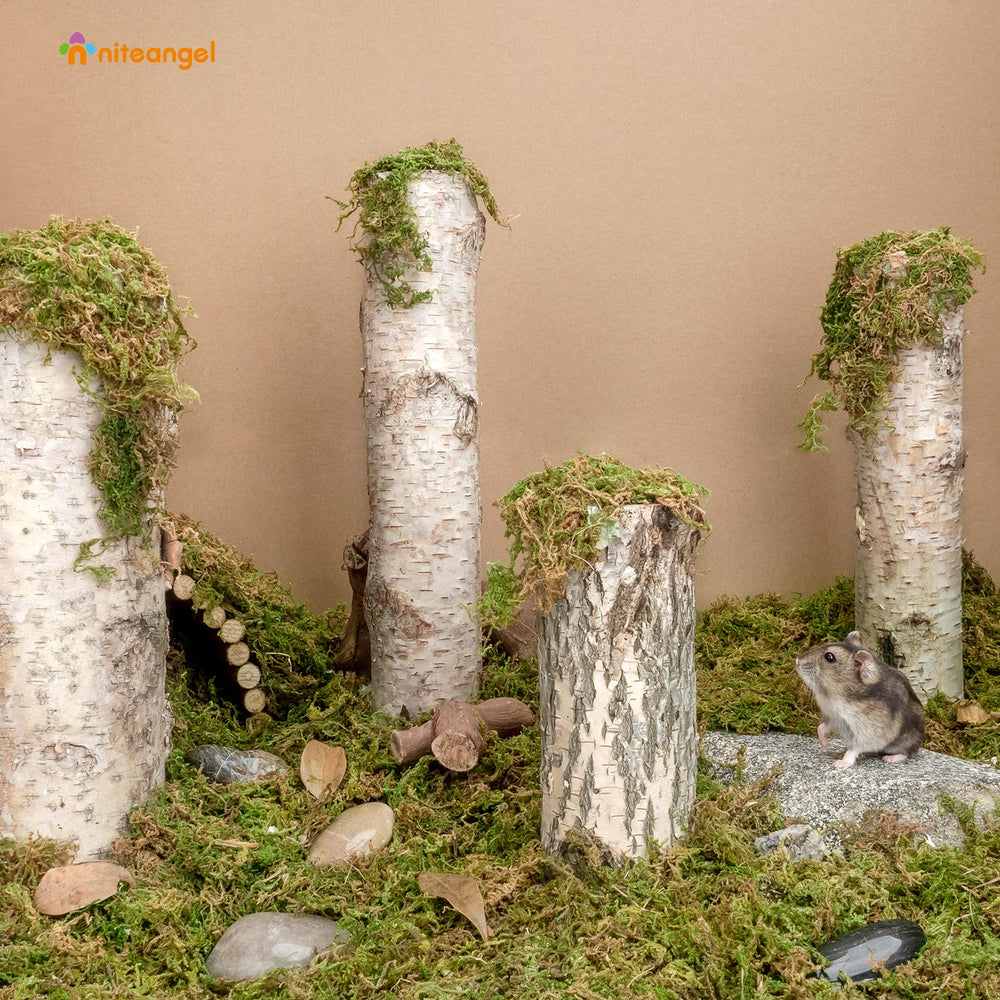Niteangel forest moss bedding for gerbil nest supports burrowing and dryness.