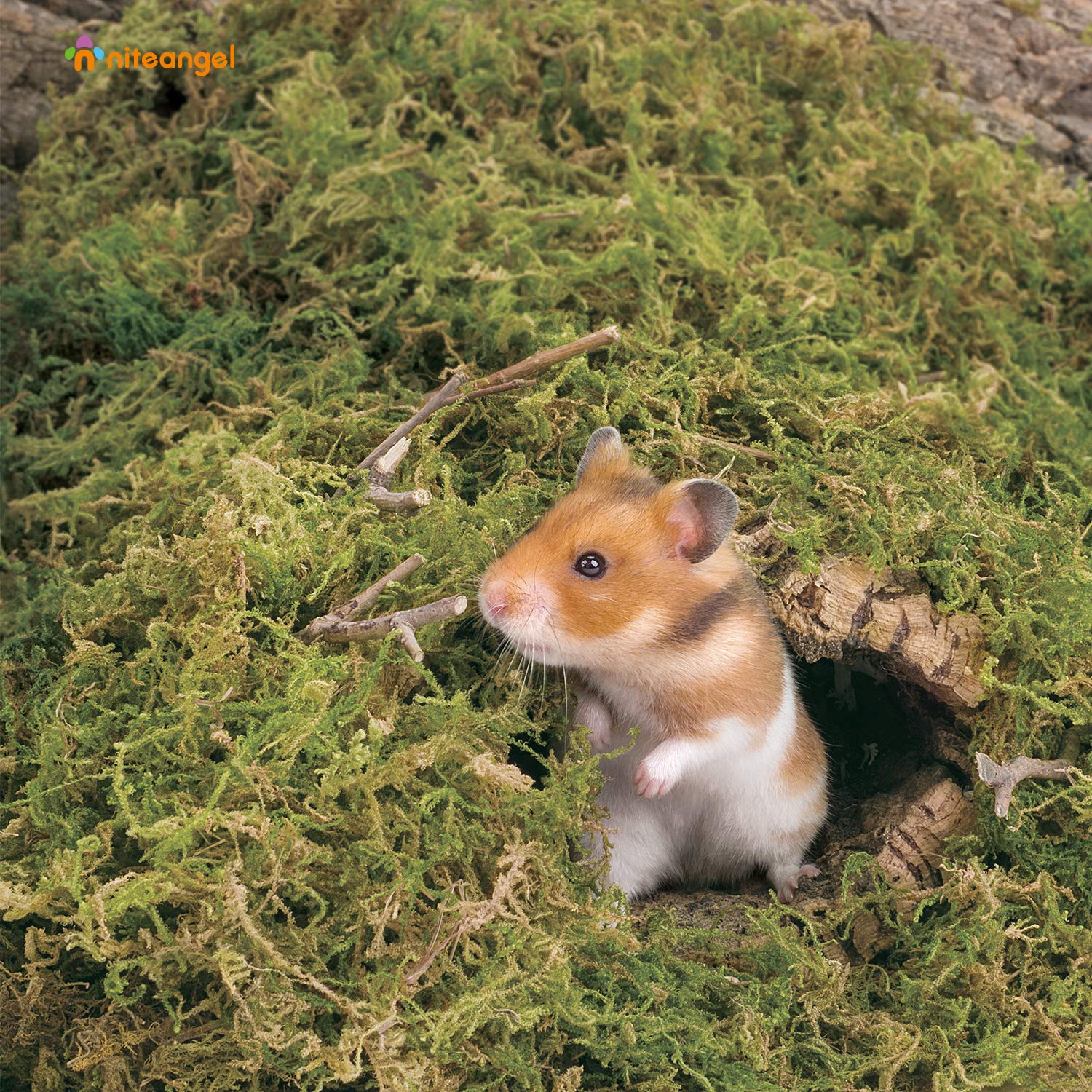 Niteangel forest moss bedding for mice nest provides cozy, natural hiding space.