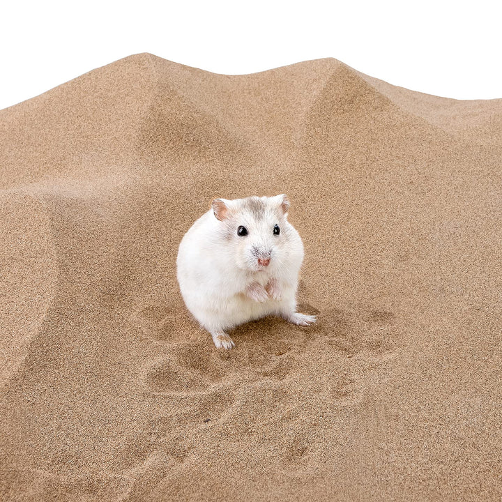 Niteangel gerbil desert bath sand promoting clean fur and playful digging