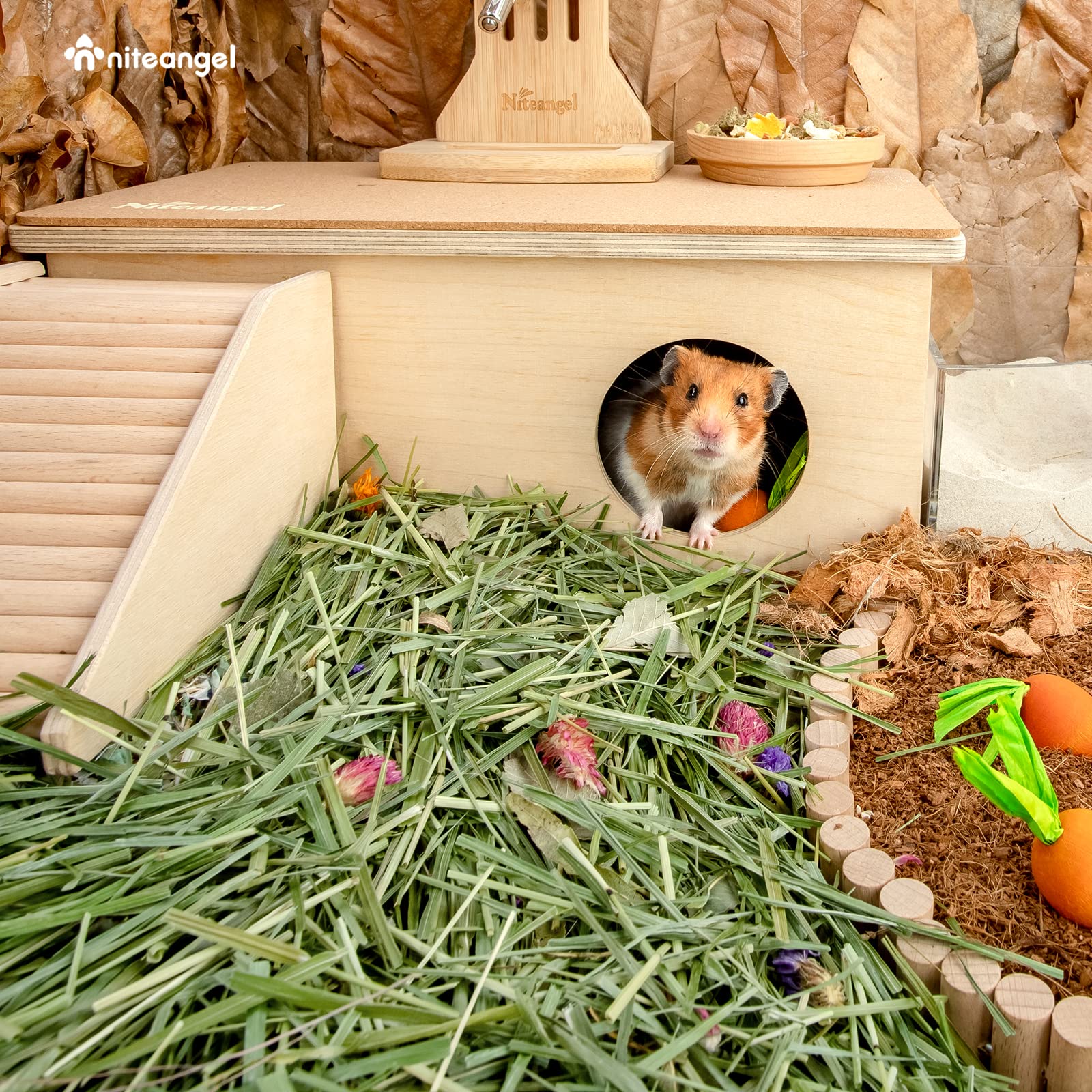 Niteangel habitat-friendly bedding helps keep the enclosure dry and tidy