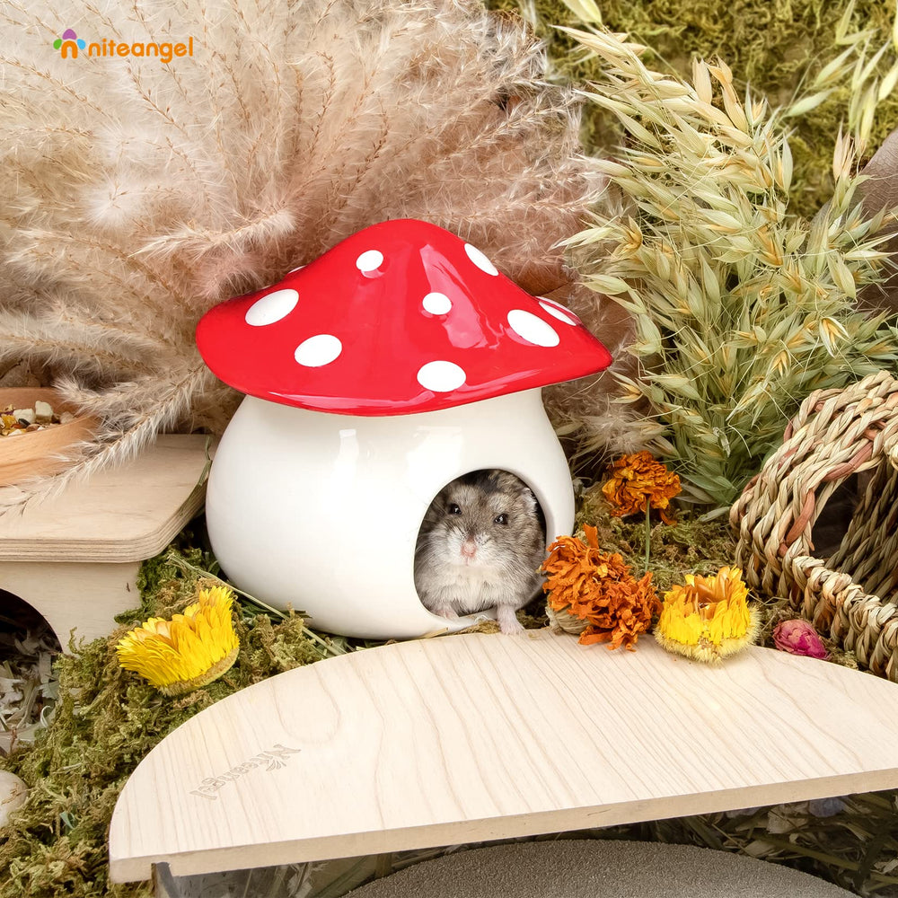 Hamster bed and hideout setup demonstrates cozy resting space and play area.