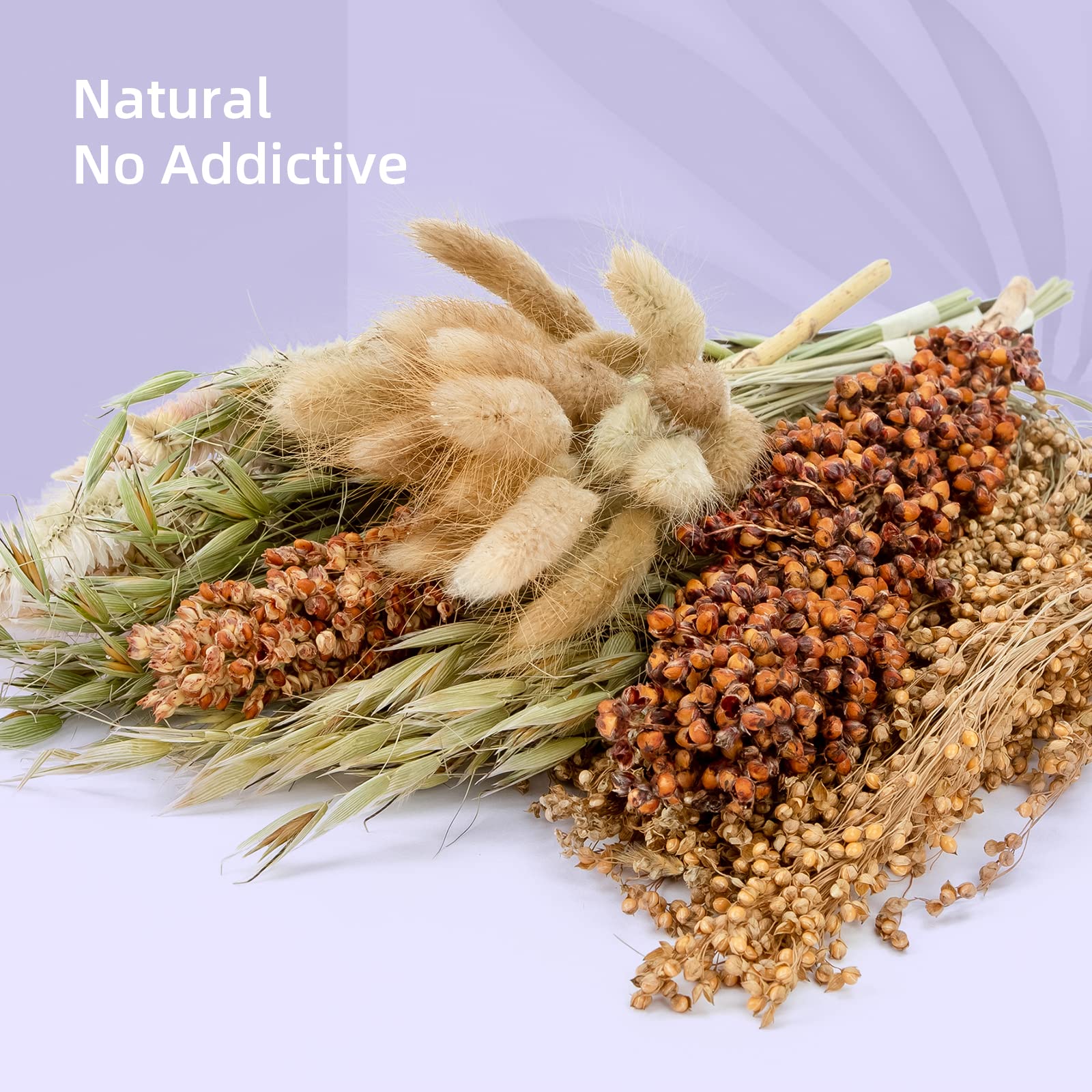 Cage decoration with Niteangel natural decor enhances playful exploration.