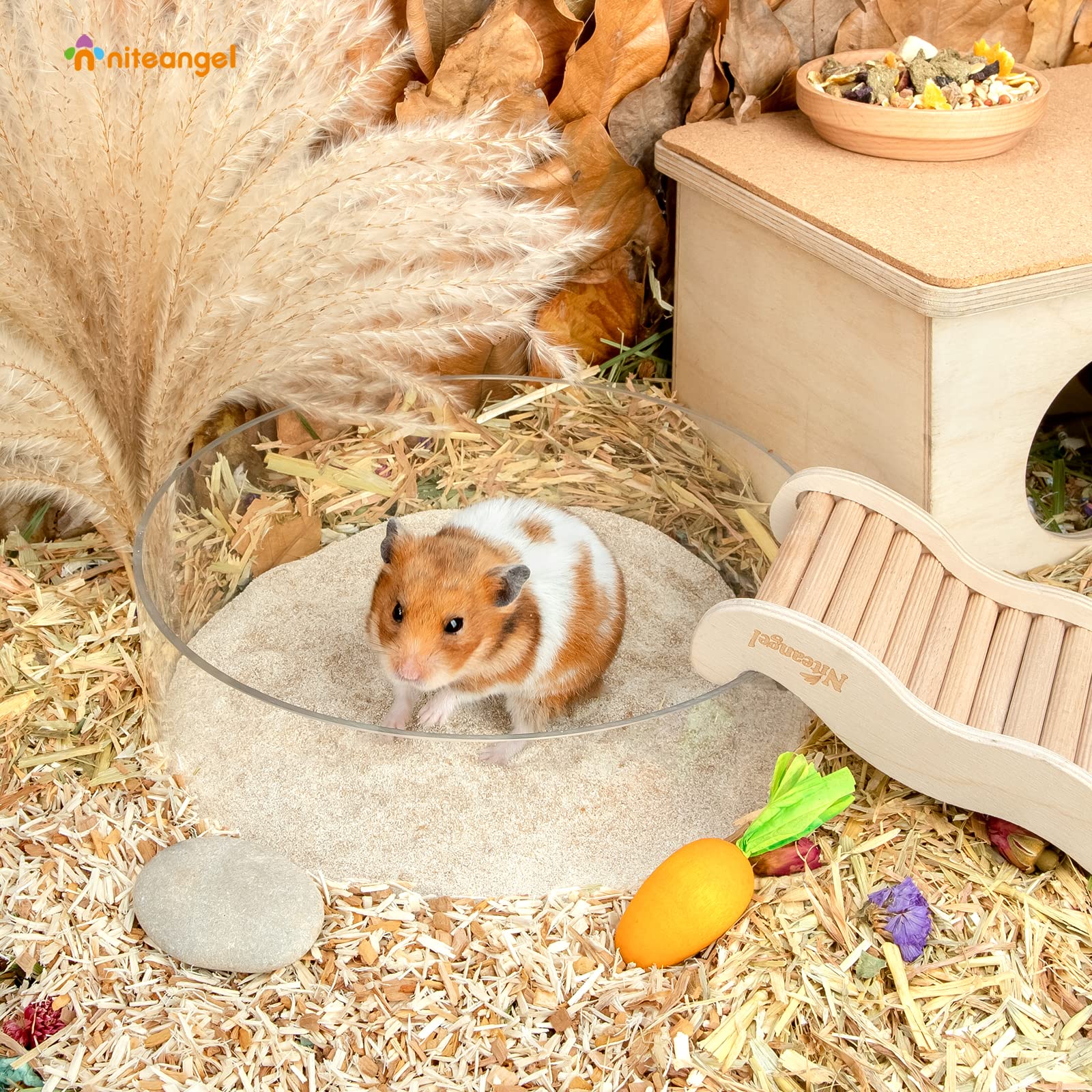 Niteangel hamster desert bath sand in use during dig and play sessions.