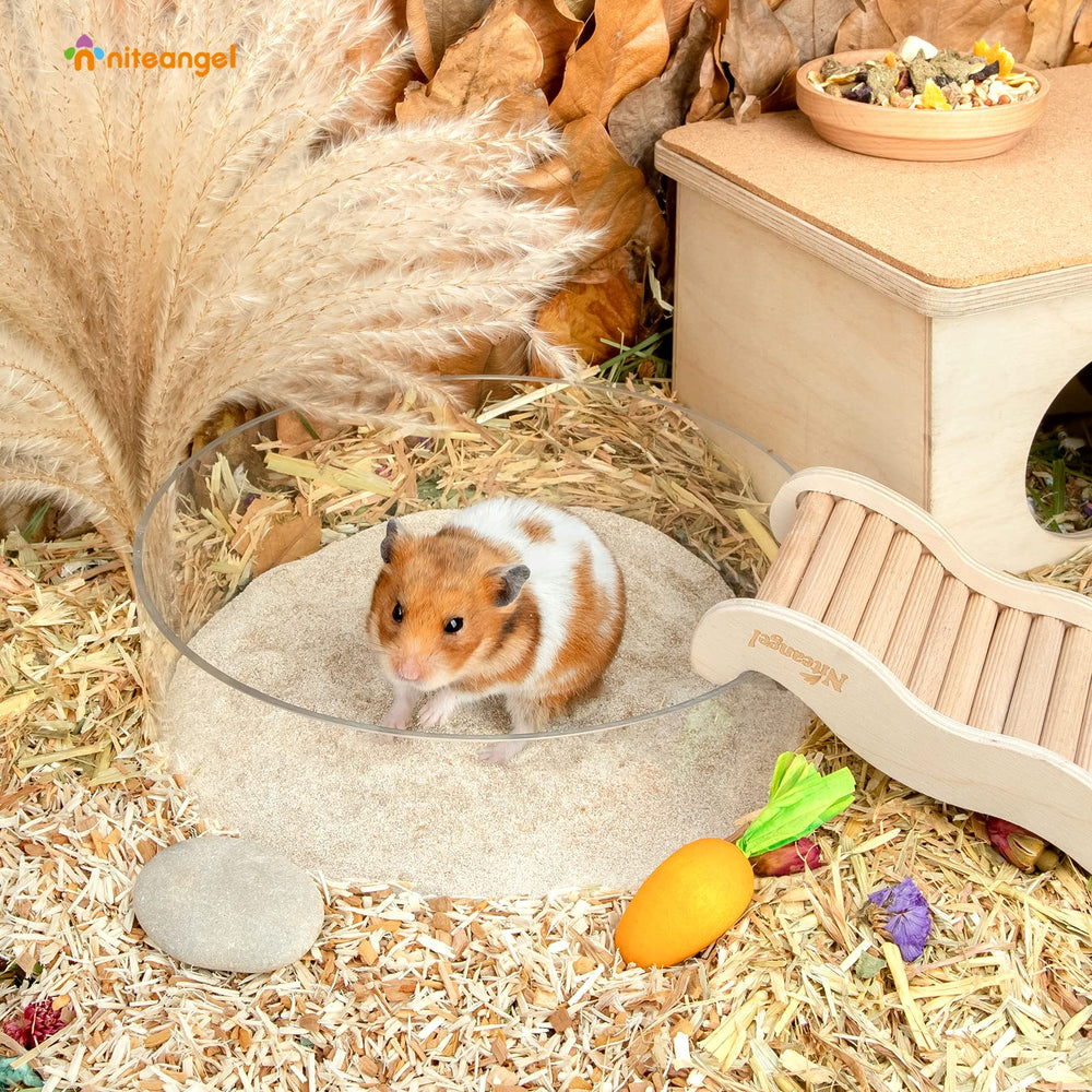 Niteangel hamster desert bath sand in use during dig and play sessions.