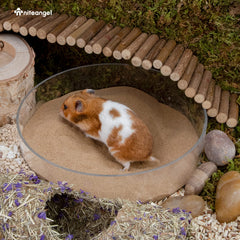 Niteangel hamster desert sand in litter tray, helps reduce mess.