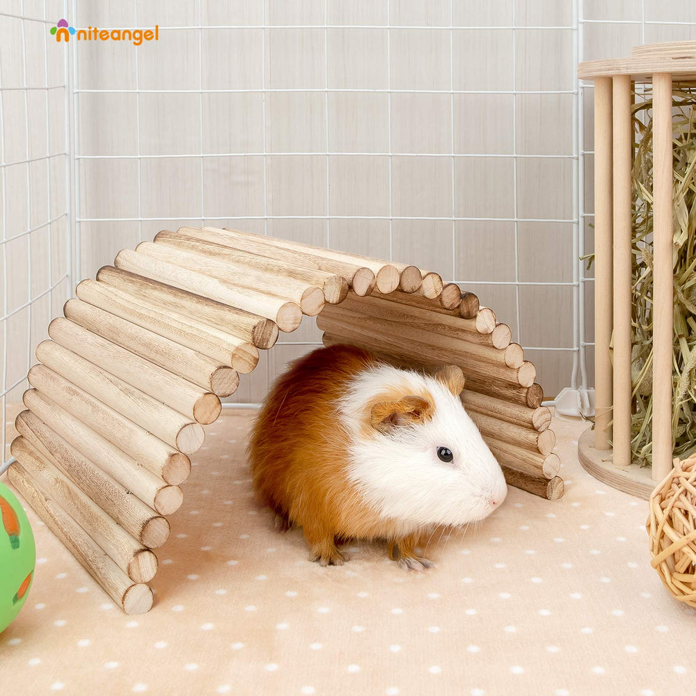 Niteangel hamster exploring ladder encourages activity and balance