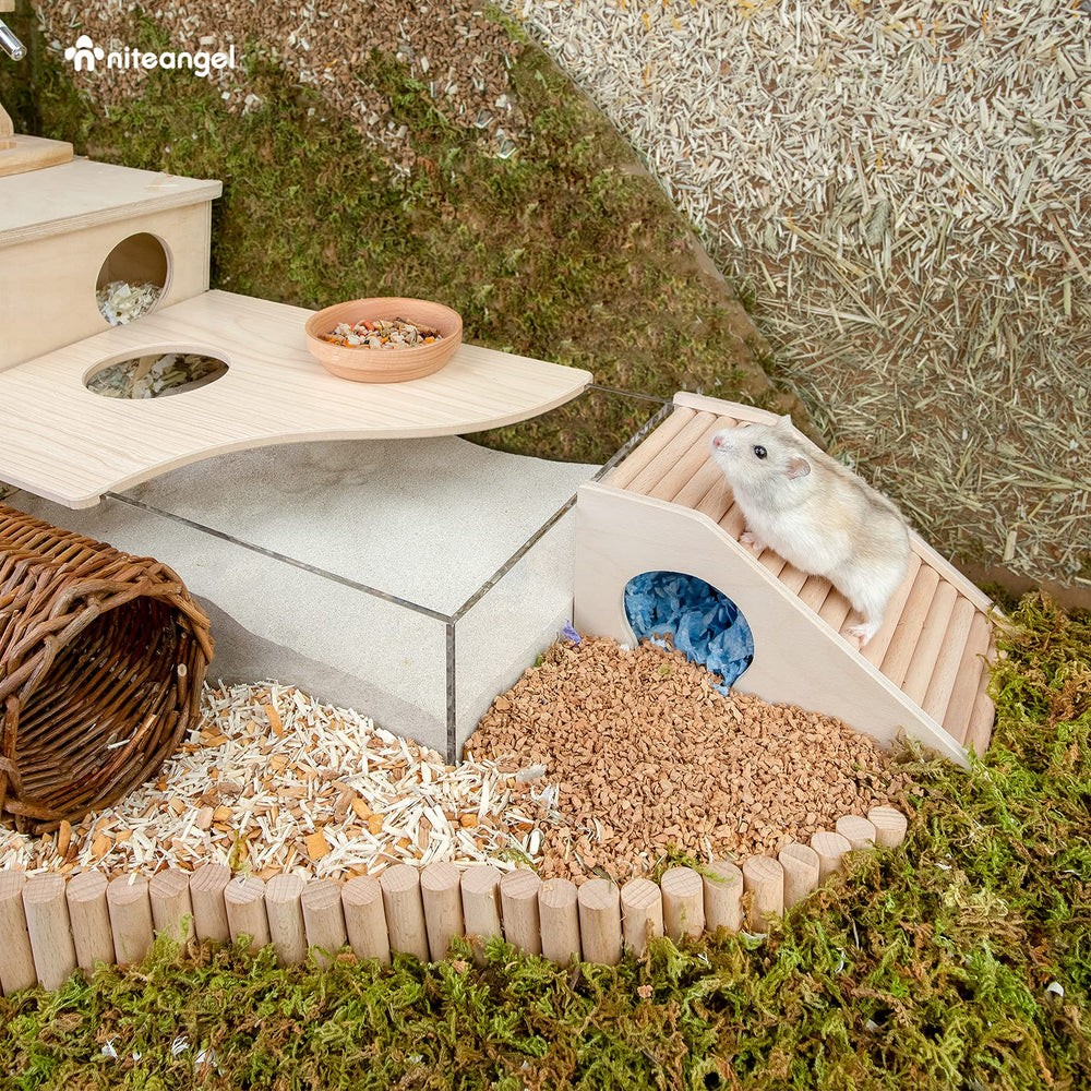 Niteangel hamster house with roof access for engaging play and easy transitions between levels