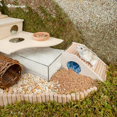 Niteangel hamster house with roof access for engaging play and easy transitions between levels