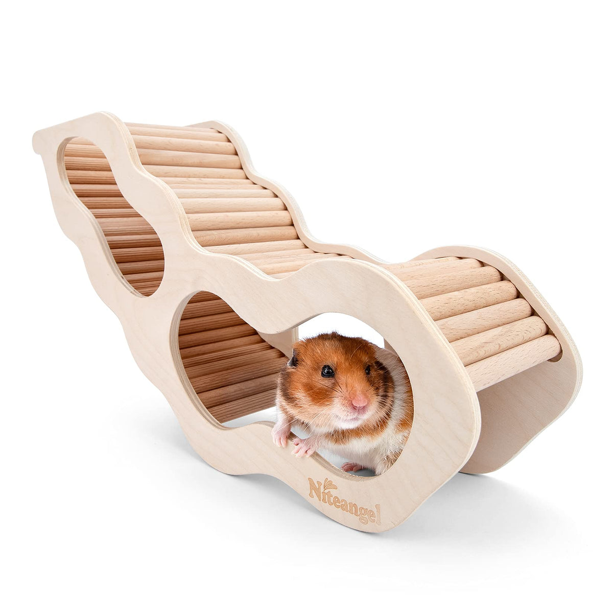 Niteangel hamster house with climbing ladder, front view, enrichment and secure rest.