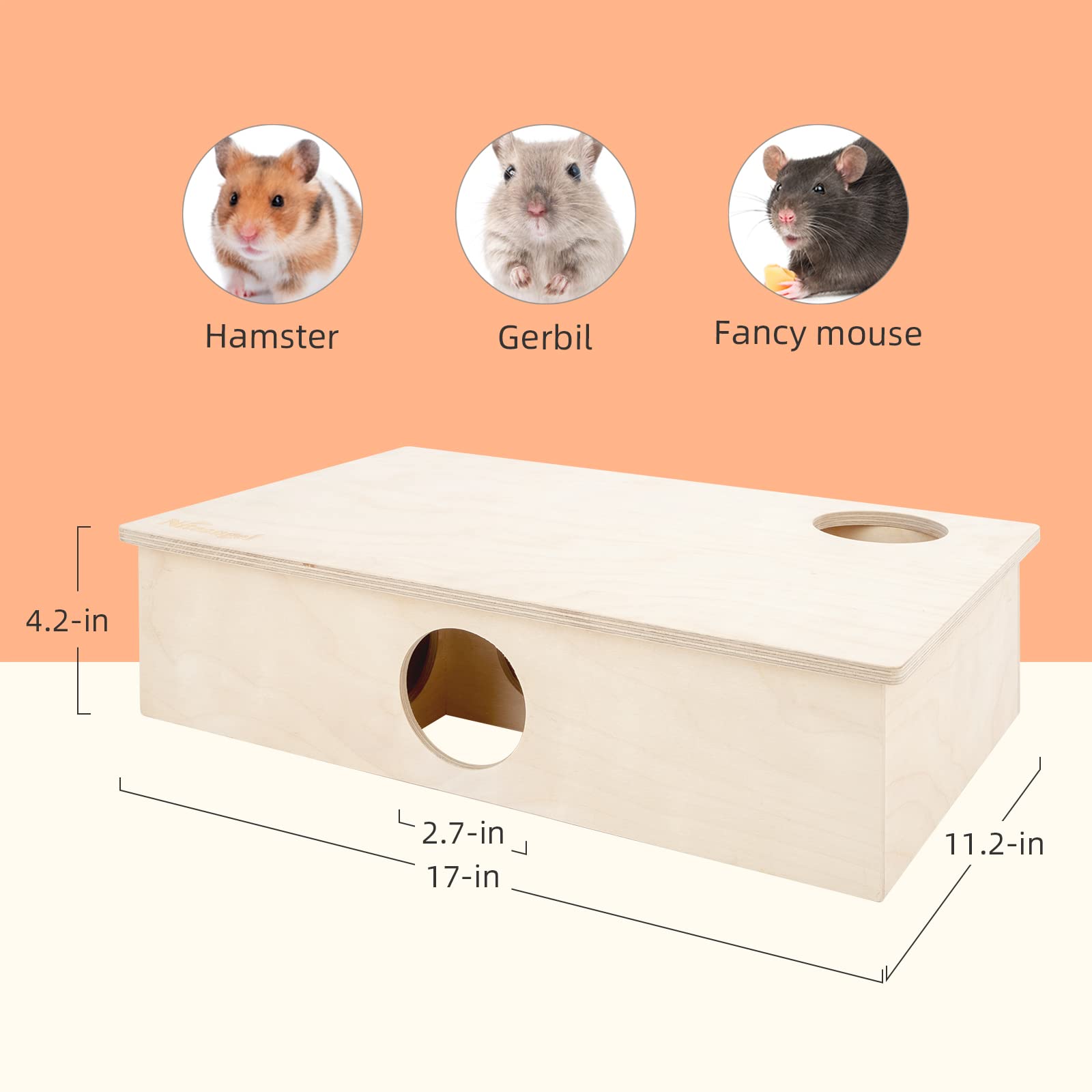 Niteangel hamster maze shows two entrances and connected tunnels for exploration.