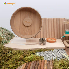Niteangel platform with bowl attachment shows convenient feeding during play.