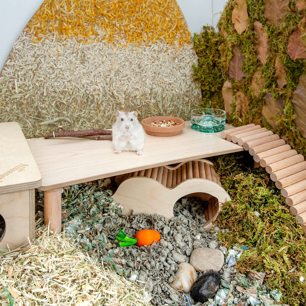 Niteangel hamster play area provides versatile space for running and resting.