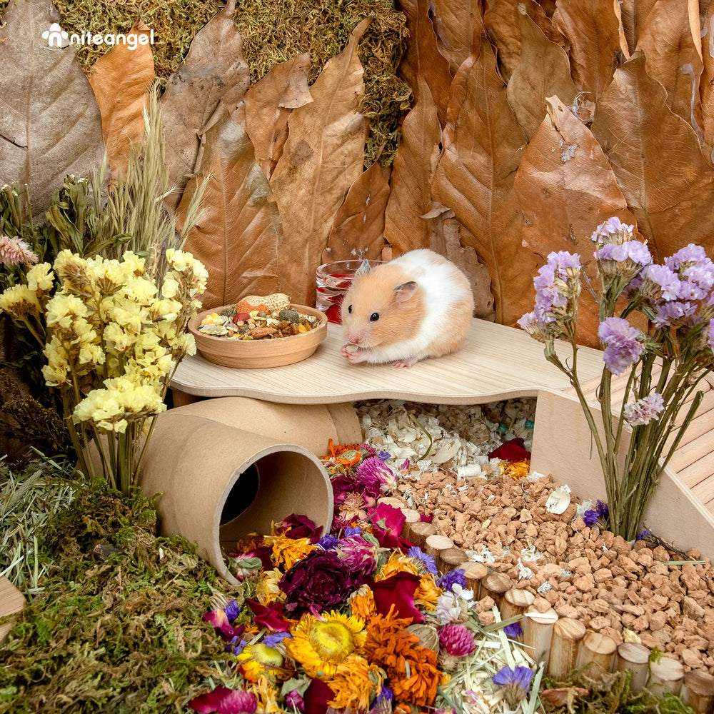 Niteangel Hamster Play Platform with optional accessories for enrichment