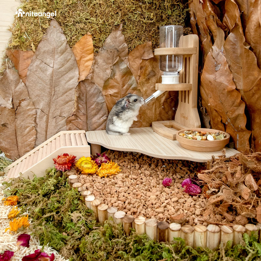 Niteangel Hamster Platform near water and food setup for easy access.