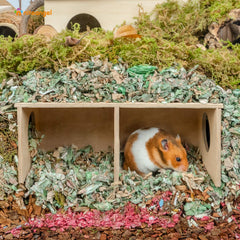 Niteangel Hamster Secret Peep Shed interior view enabling calm burrowing and daily exercise.