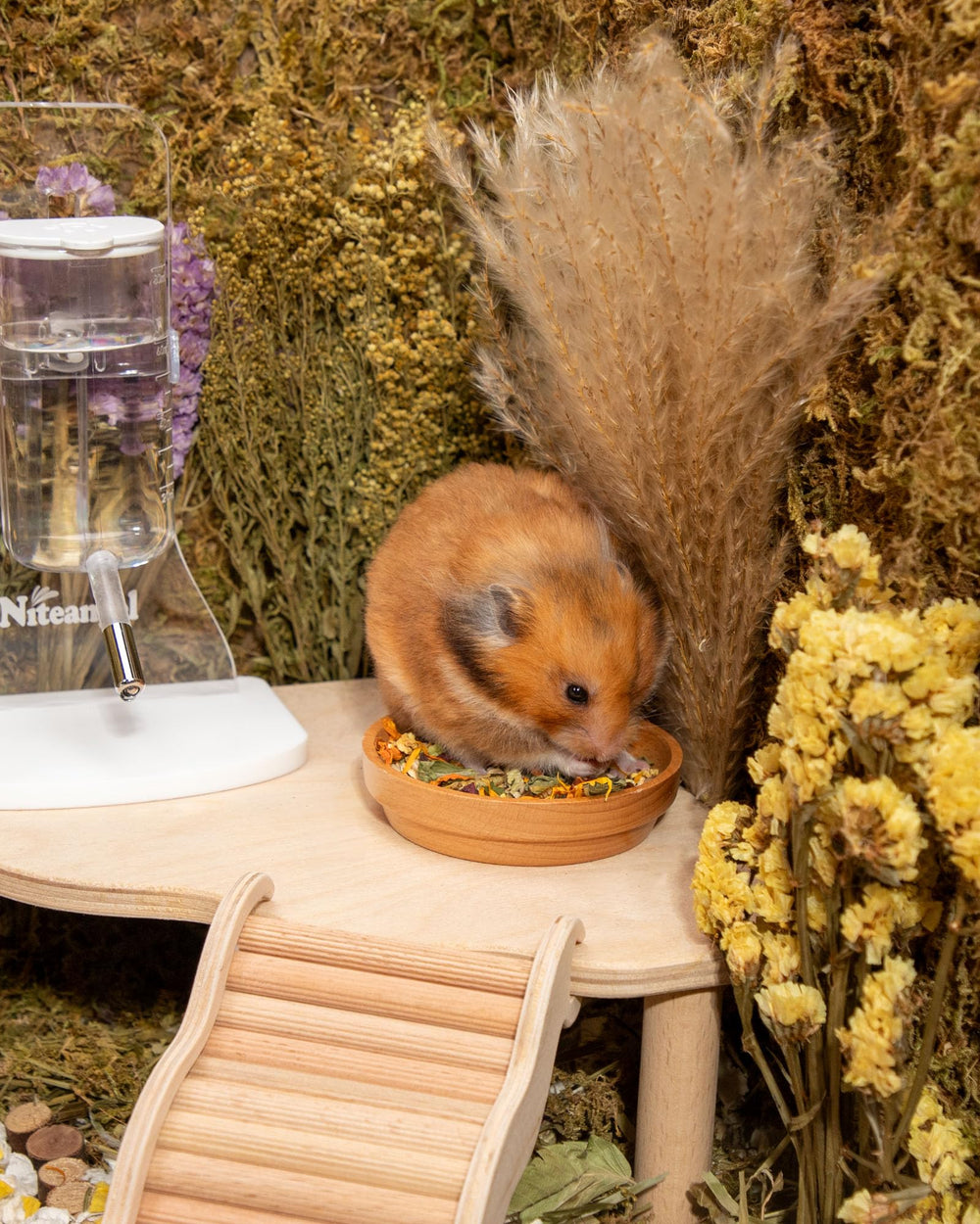 Niteangel vegetable-nutrient-boost provides essential vitamins from garden veggies.