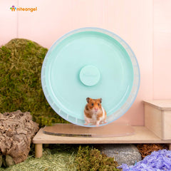 Niteangel wheel operates quietly, reducing nighttime disturbance for caregivers.
