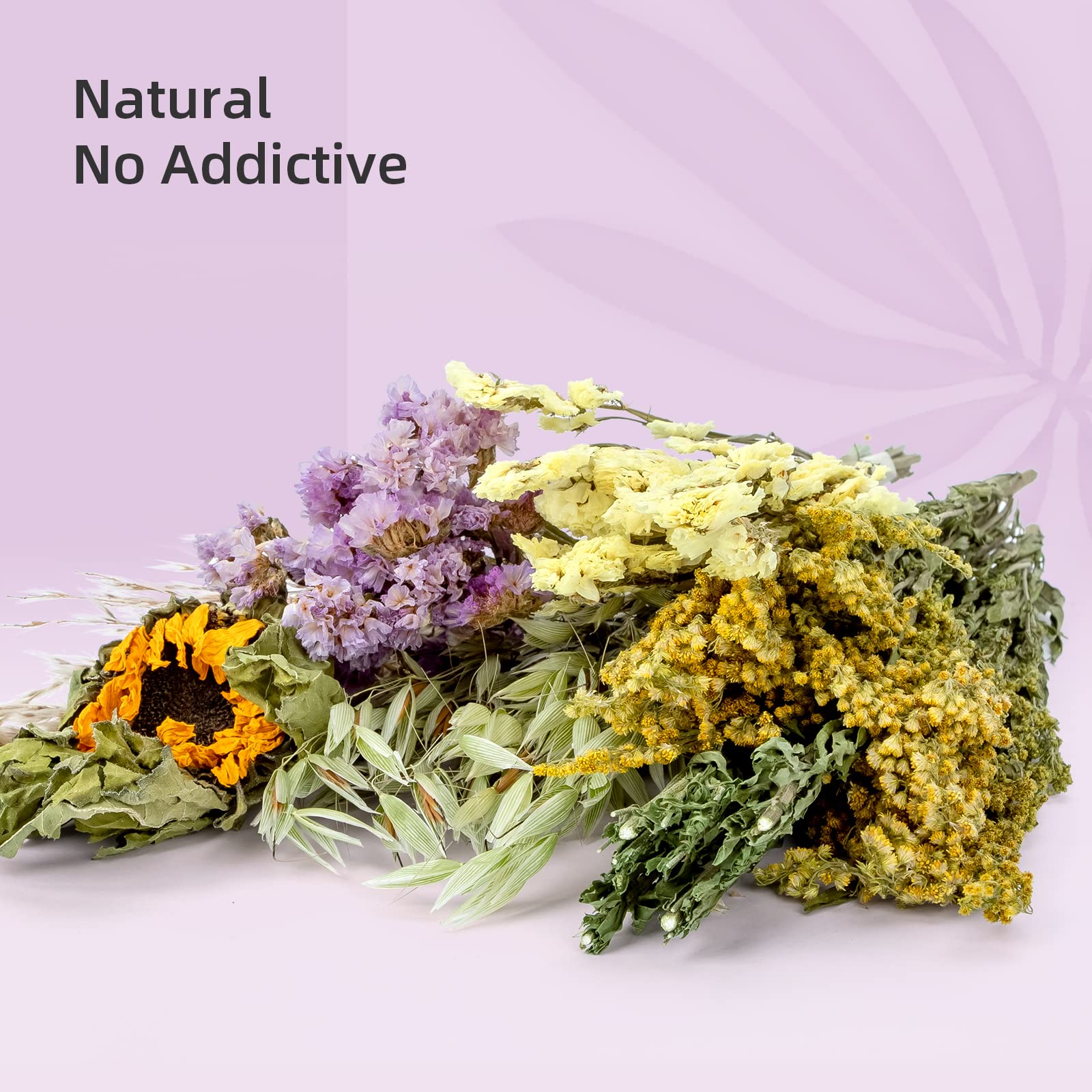 Niteangel Harvest Wind colorful stems for small pet enrichment
