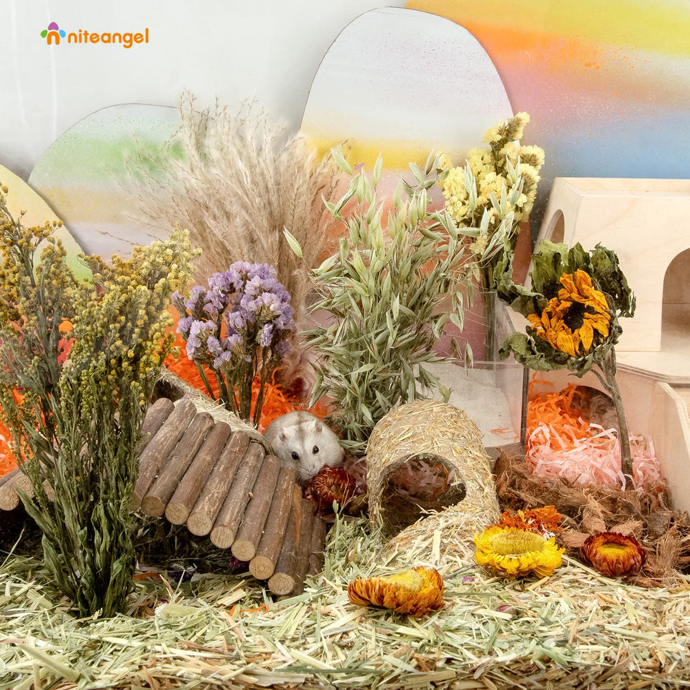 Niteangel Harvest Wind flowers safe for small pets with care