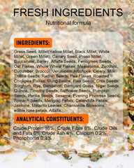 Niteangel ingredient mix closeup highlights seeds and vegetables for nutrition
