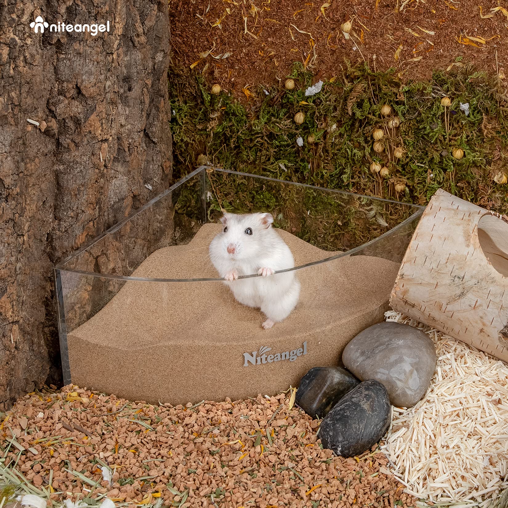 Niteangel mice desert bath sand keeping coat tidy and moisturized