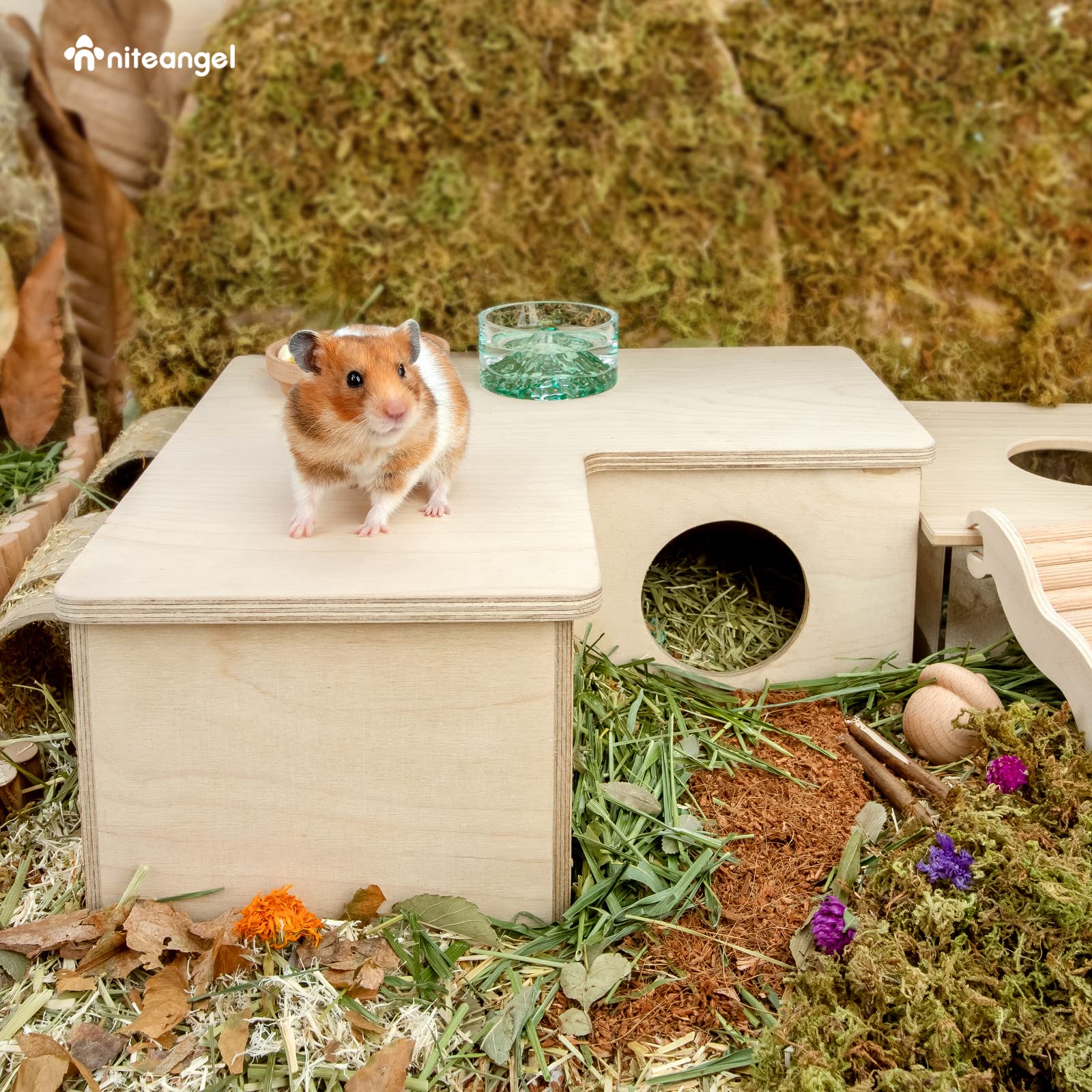 Niteangel multi-room activity space encourages nocturnal exploration and nesting