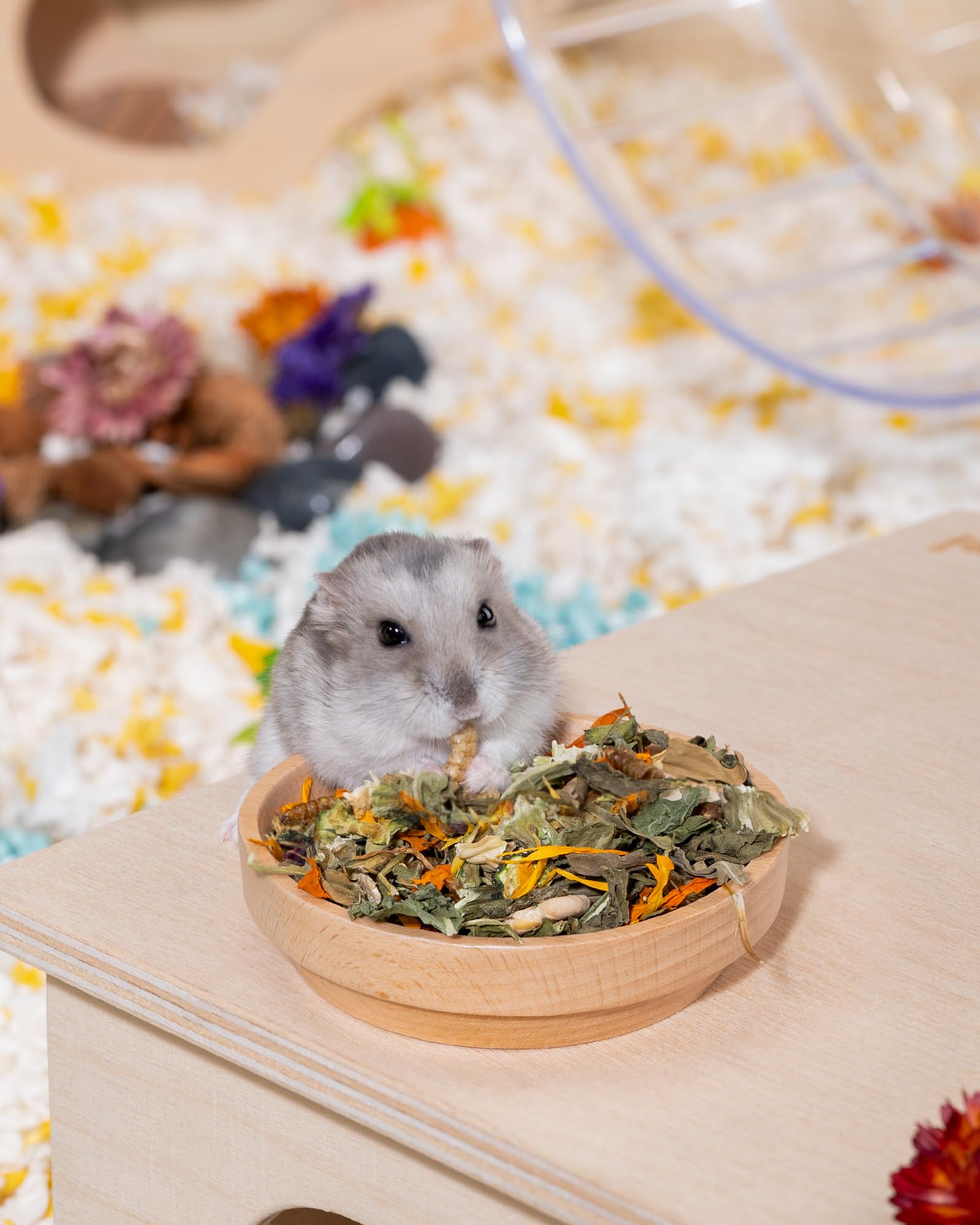 Niteangel no additives label emphasizes natural nutrition for hamsters