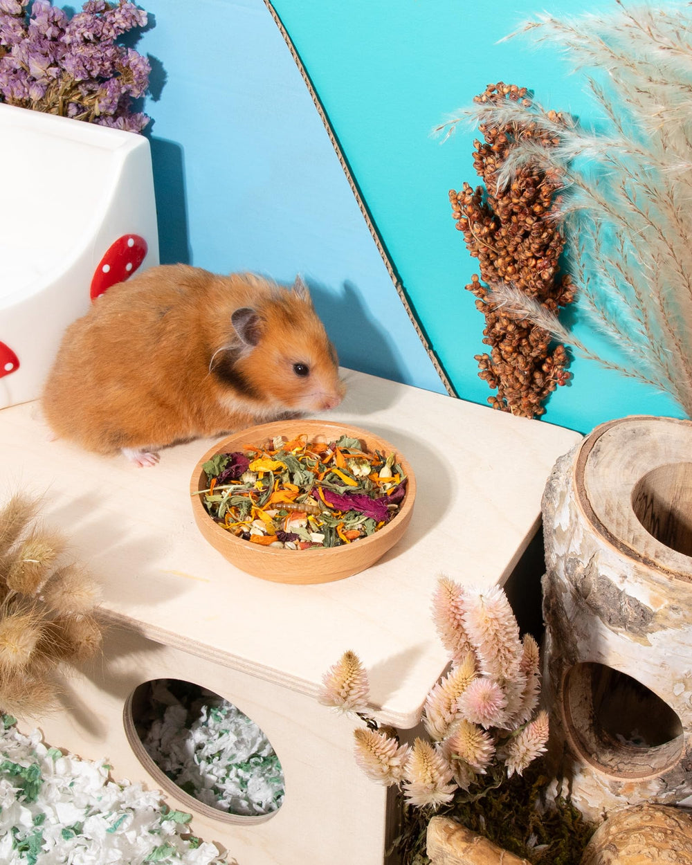 Niteangel no-additives promise pure, natural nutrition for your small pet.