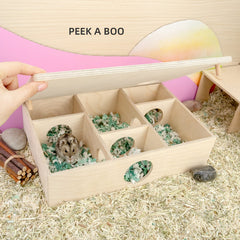 Niteangel hamster maze removable roof enables quick checks without disturbance.