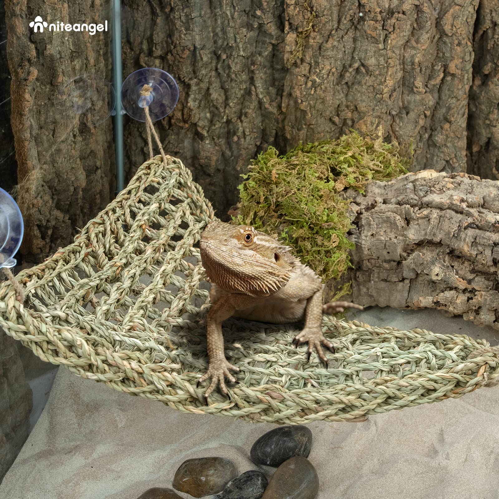Niteangel rough texture helps shedding-friendly rubs inside the enclosure.