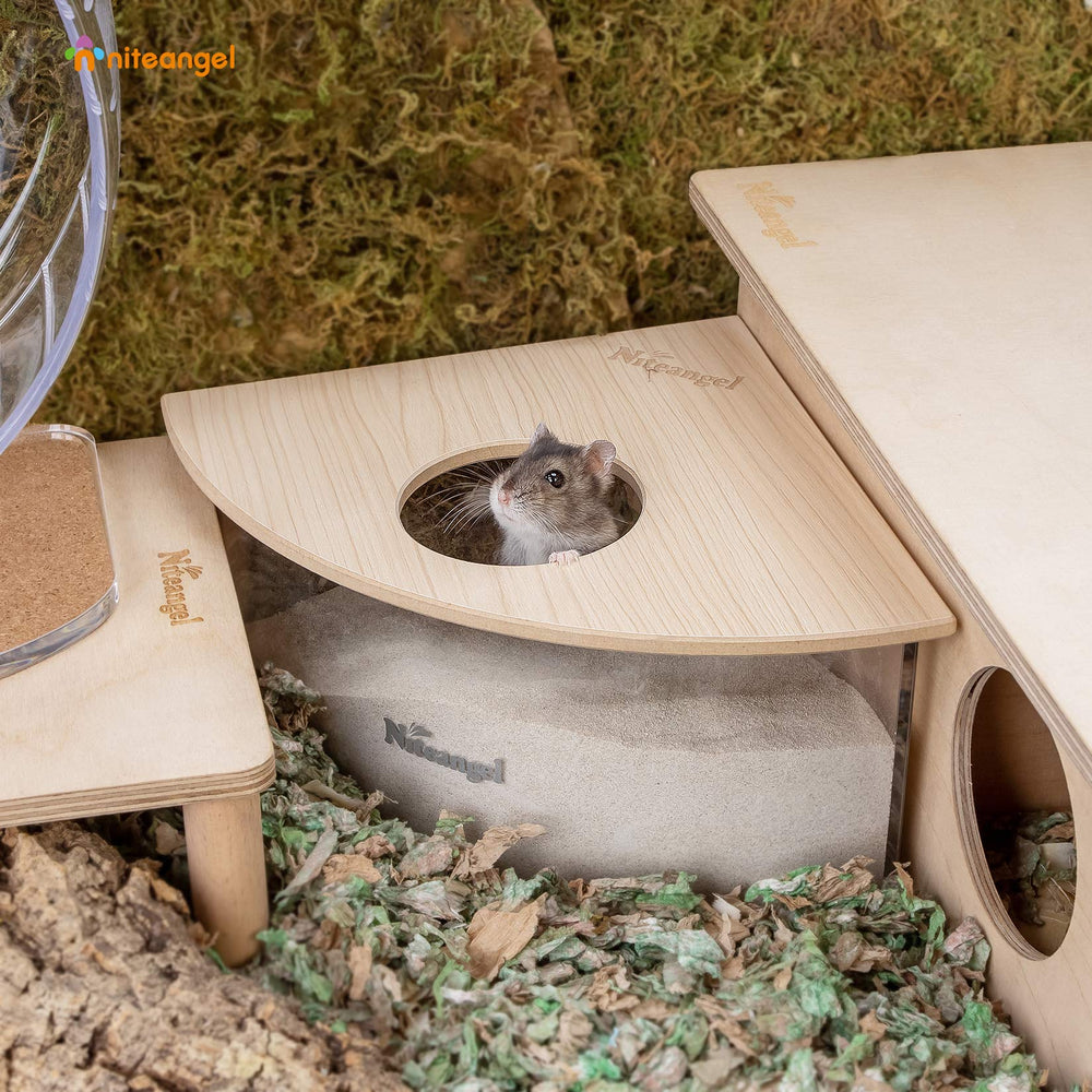 Niteangel sand-bath box acrylic clear view helps watch hamsters explore
