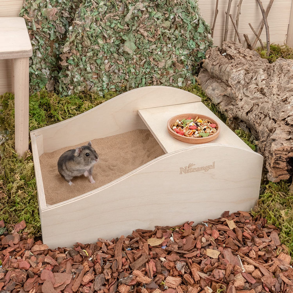 Niteangel sand bath box hideout section for safe resting.