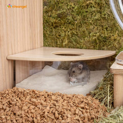 Niteangel sand-bath box spacious dig area supports burrowing play