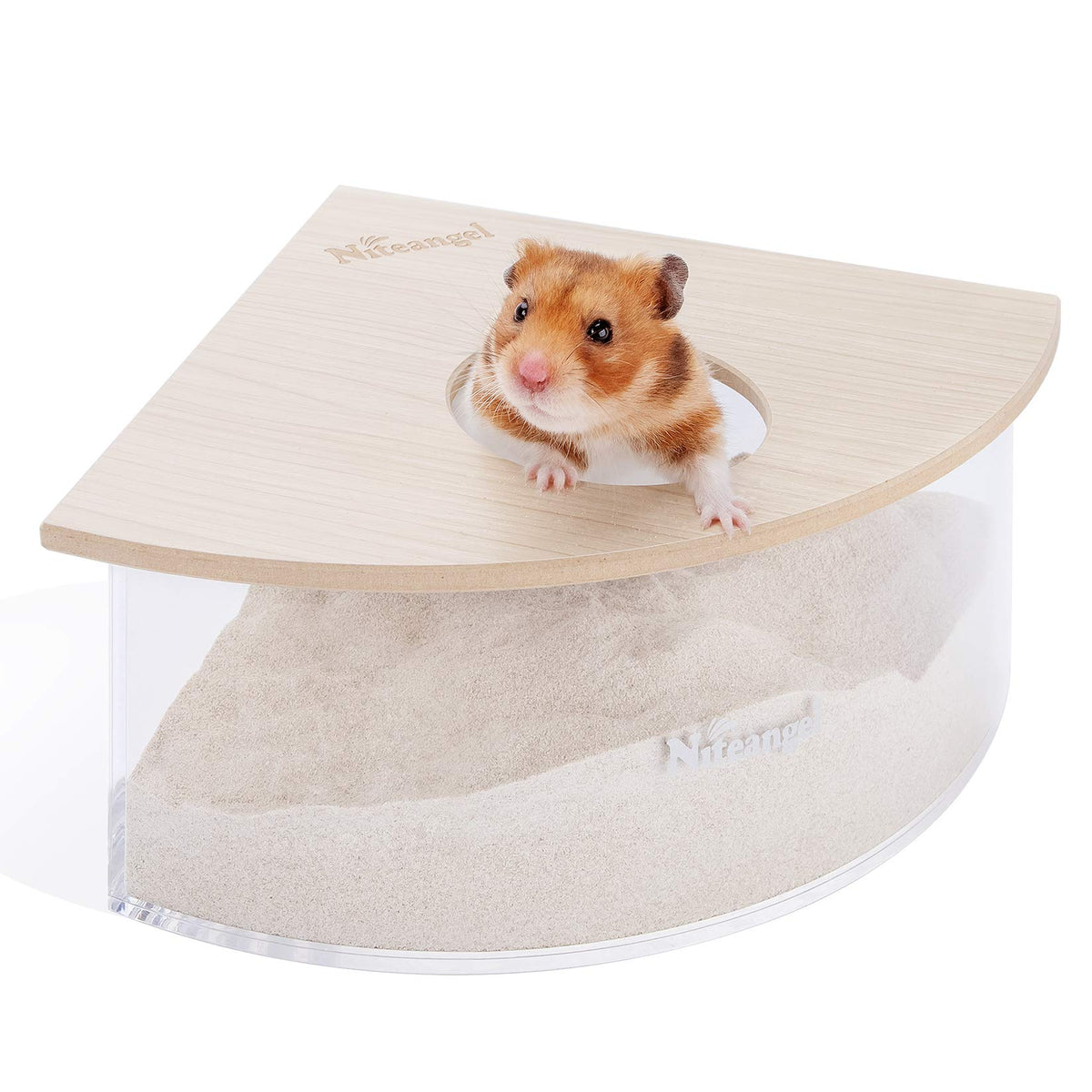 Niteangel sand-bath box triangle corner-fit lets small pets dig comfortably