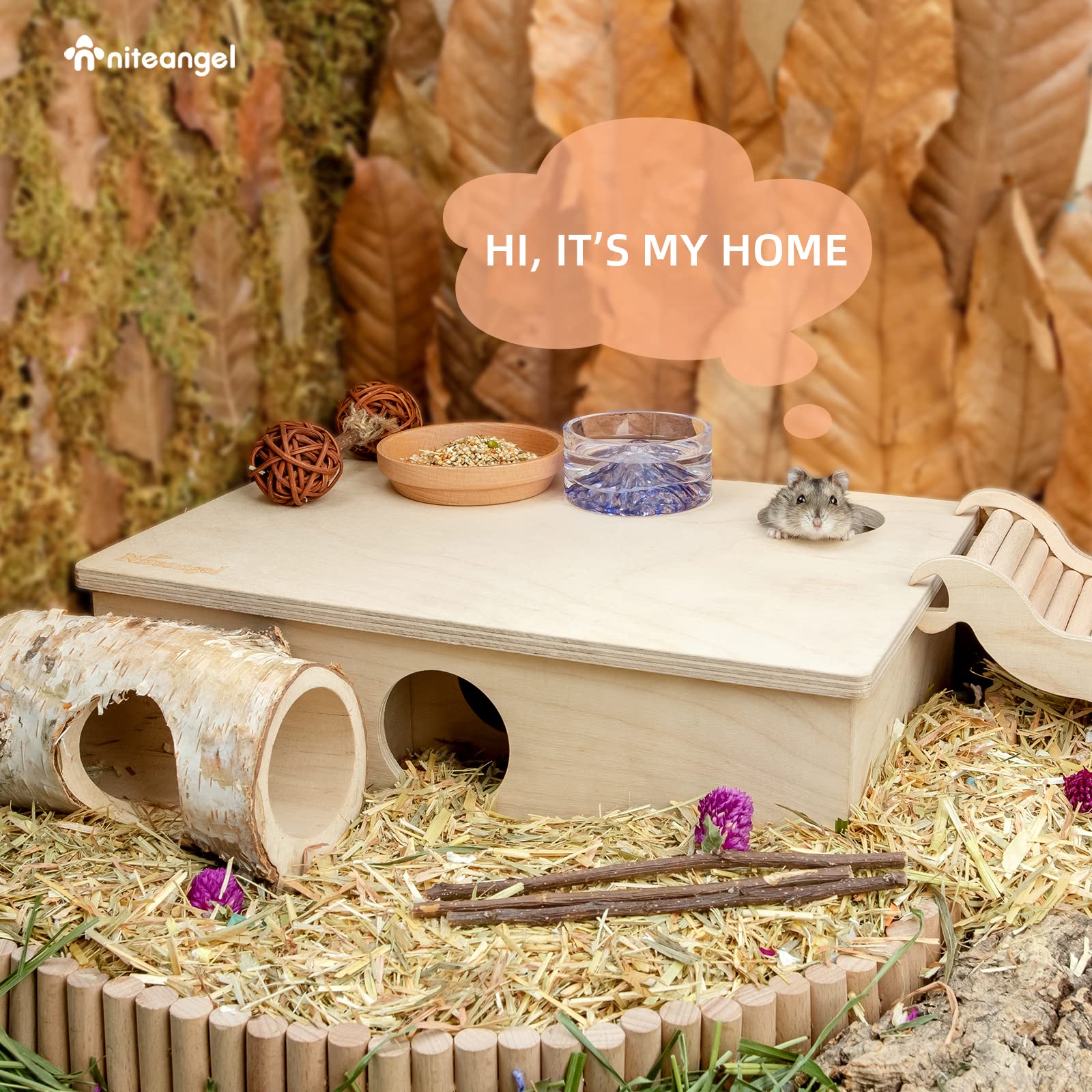 Niteangel small pet hideout setup demonstrates space-saving design.