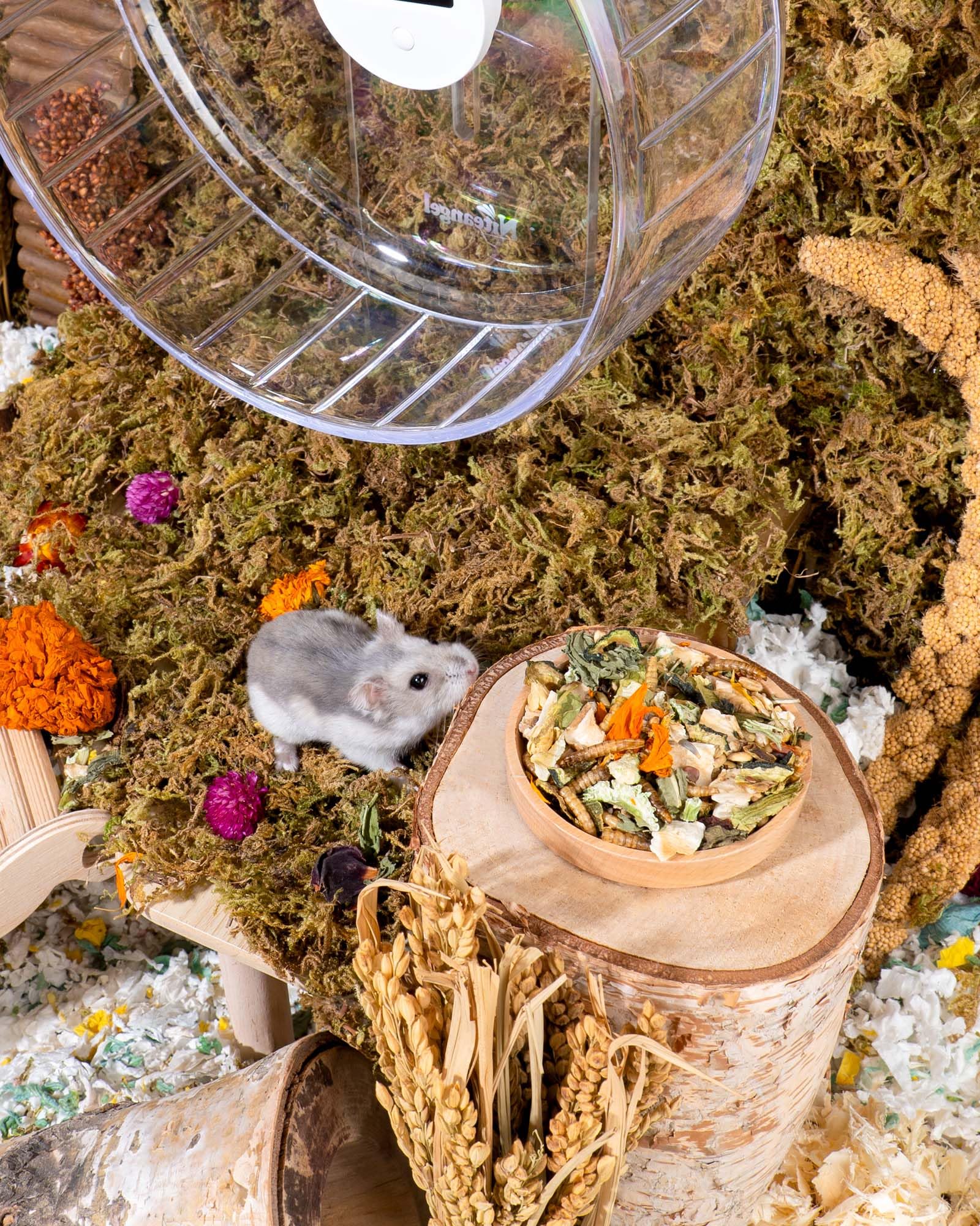Niteangel small-pet mealtime scene depicts easy, enjoyable feeding