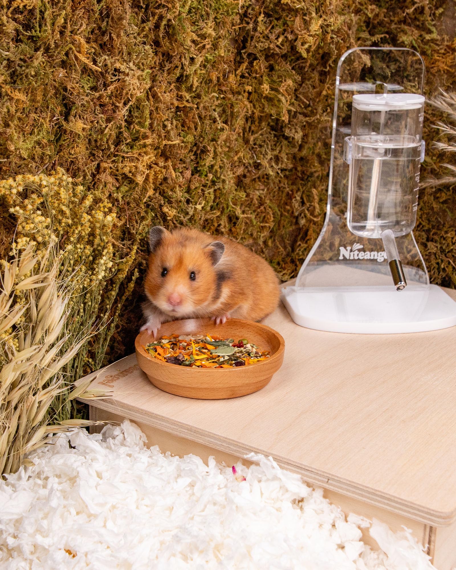 Niteangel small-pets-multi-use versatile mix for golden hamsters and other tiny companions.