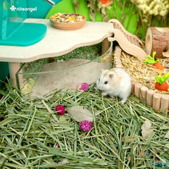 Niteangel soft fluffy bedding offers low-dust comfort and odor control