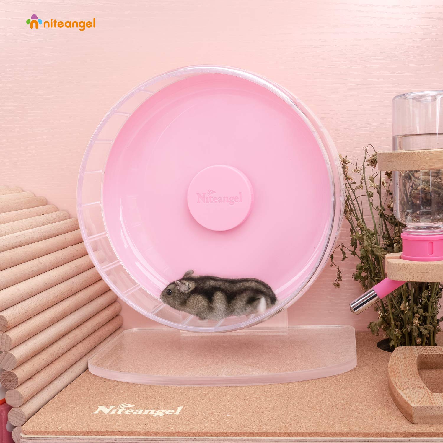 Niteangel running drum with wide track for comfortable hamster strides.