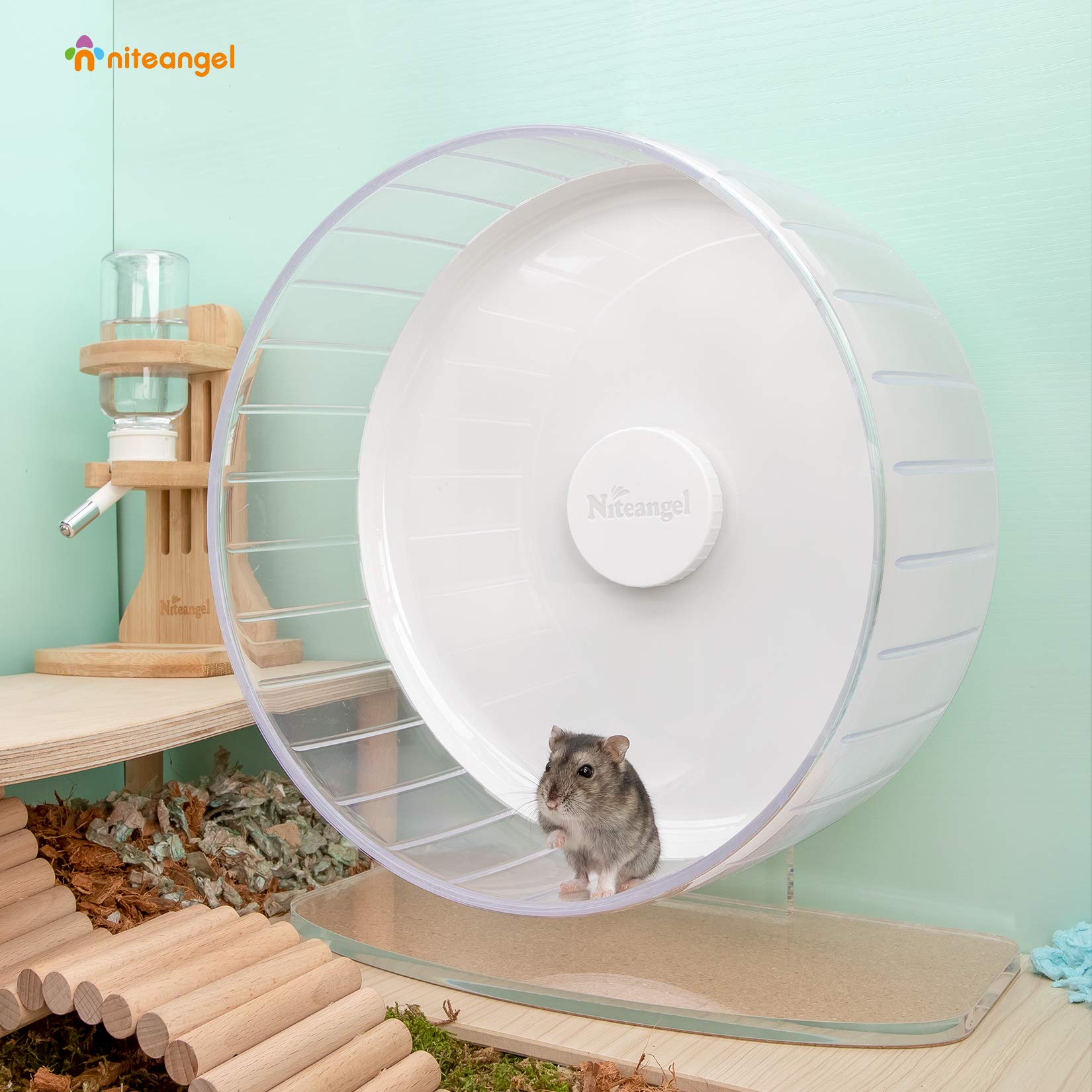 Clear PS plastic base on the Niteangel wheel enhances visibility and cleaning.
