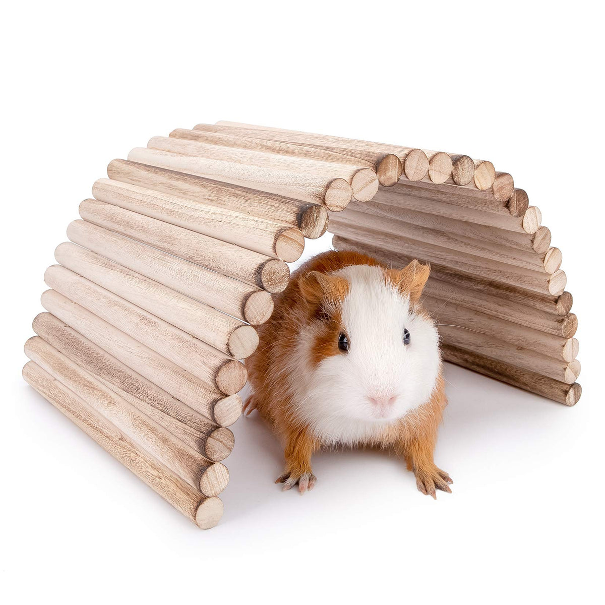 Niteangel suspension bridge ladder front view for hamsters promotes climbing exploration