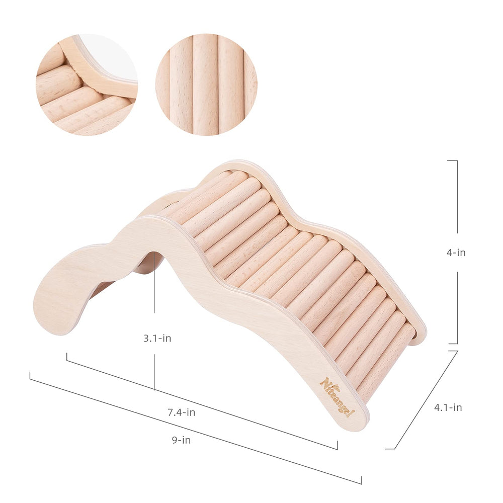 Niteangel hamster setup suitable for Syrian and dwarf species, encouraging activity.