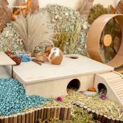 Niteangel wooden habitat made from birch plywood with smooth edges.