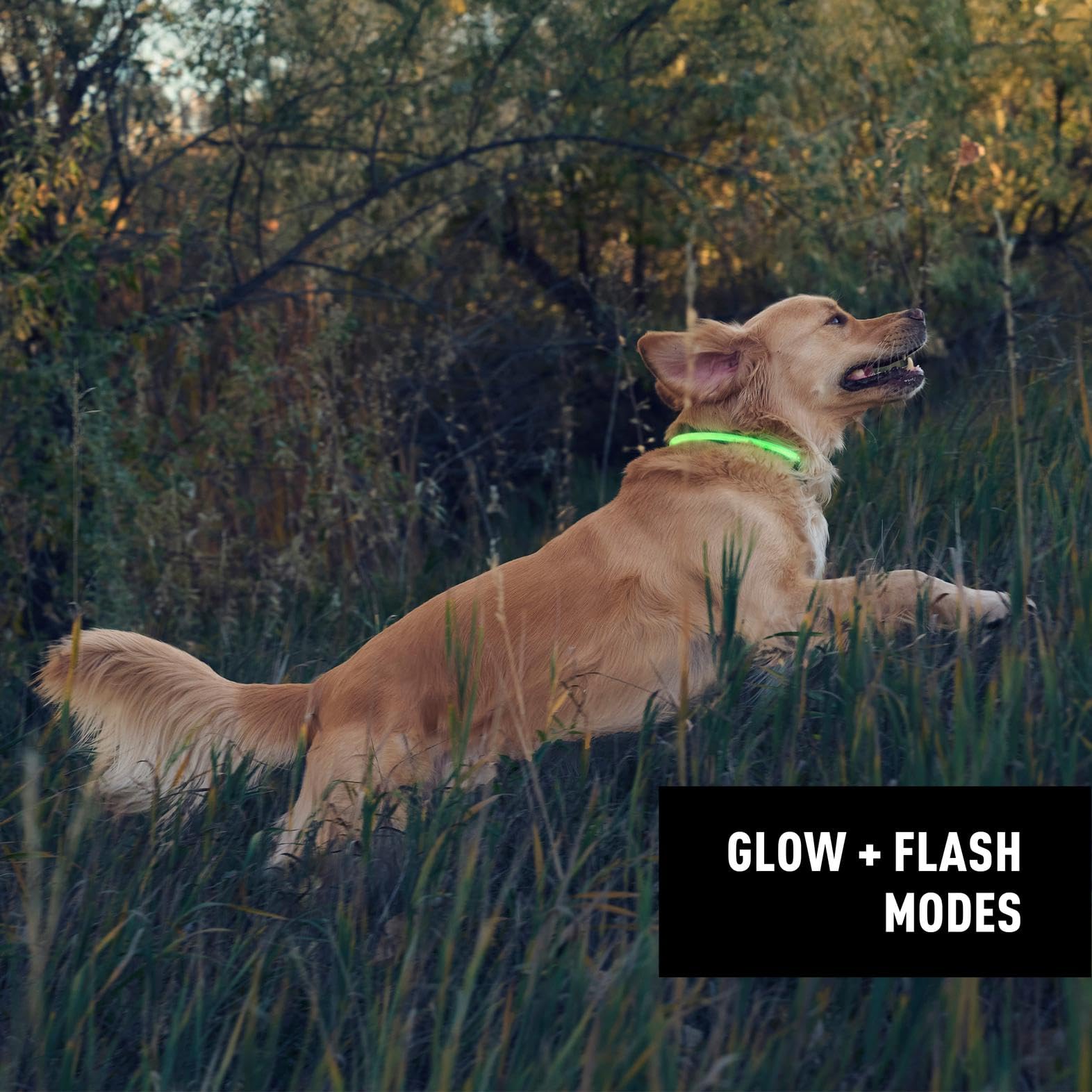 NiteHowl green LED glow enhances visibility during evening strolls