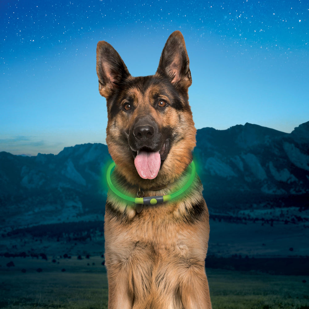 NiteHowl lightweight, flexible neckwear adds comfort on walks