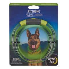 NiteHowl necklace worn on a dog for nighttime visibility