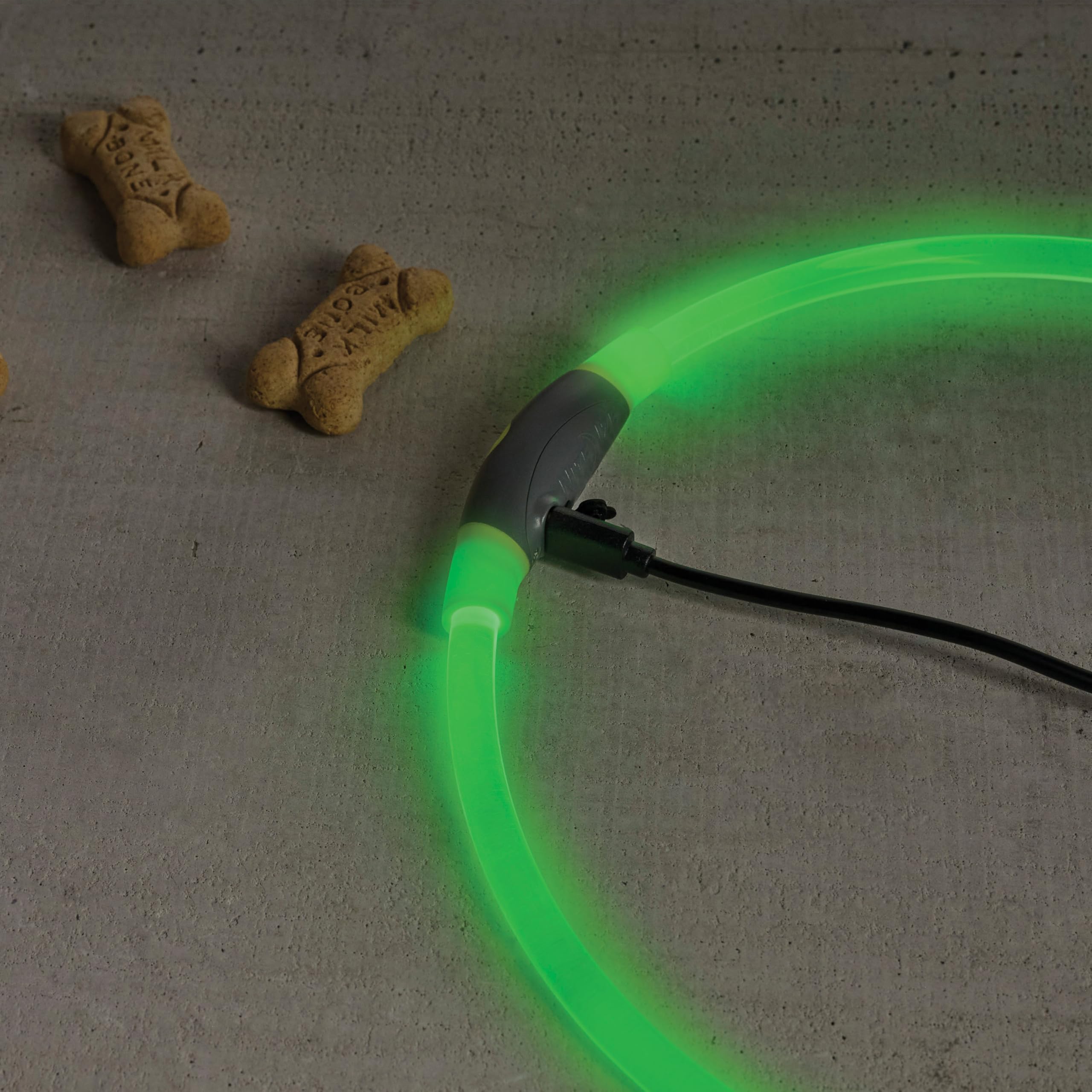 NiteHowl is the ideal safety accessory for night dog-walking